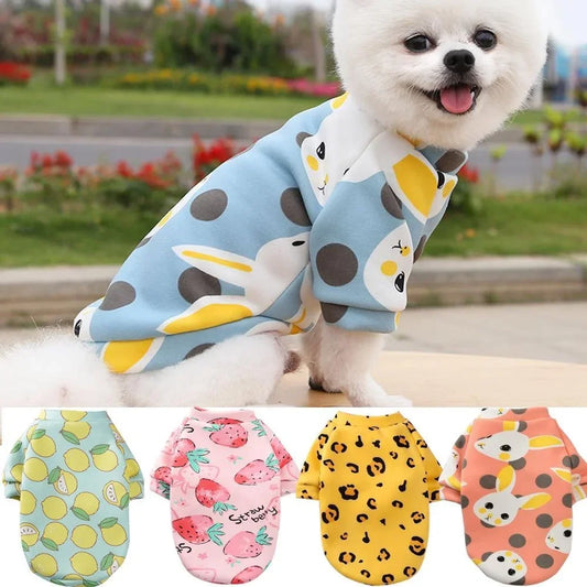 Chihuahua Dog Sweatshirt Puppy